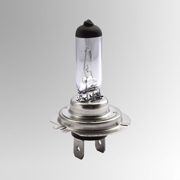 H7 Birne / Lampe / Glühbirne günstig online kaufen